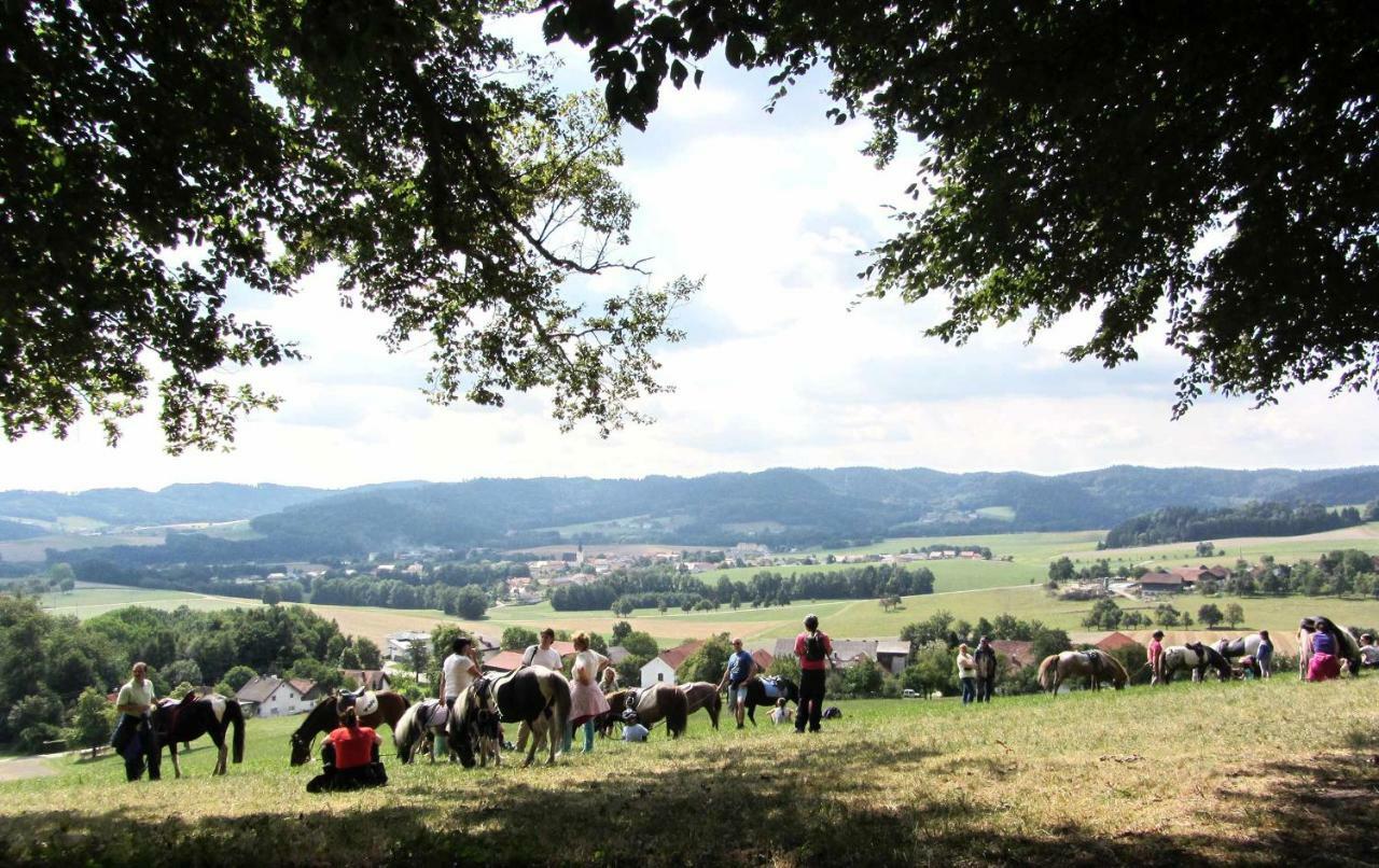 Hotel Gasthof Reiterhof Pichler Geboltskirchen Zewnętrze zdjęcie