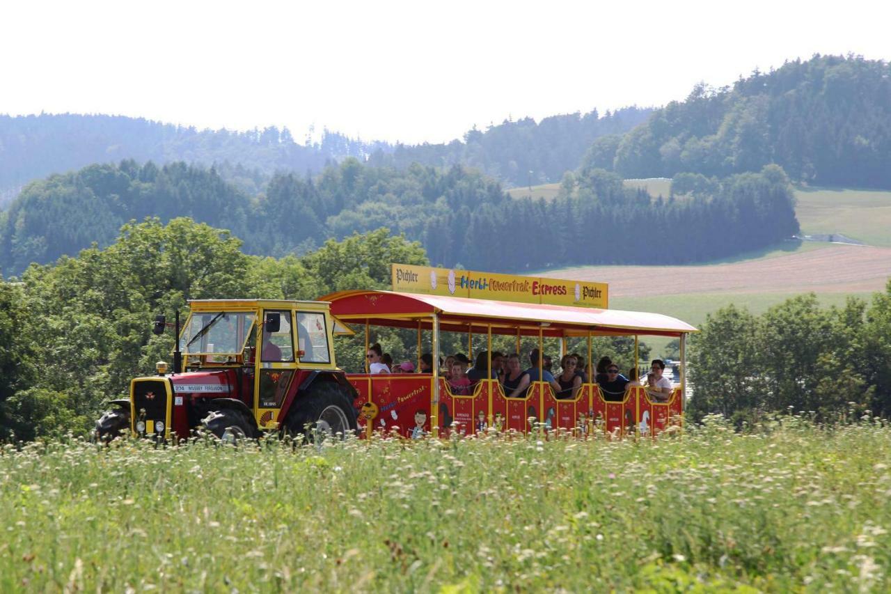 Hotel Gasthof Reiterhof Pichler Geboltskirchen Zewnętrze zdjęcie